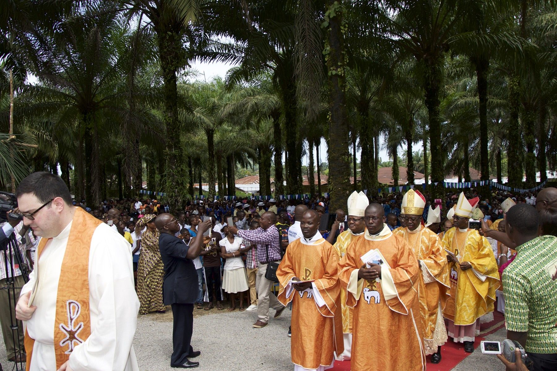 Pour Une Eglise Synodale Les Voix Venues DAfrique