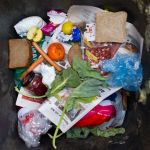 Essai d’une démocratie écologique mondiale