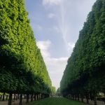 60 ans de Pacem in Terris : Un anniversaire important